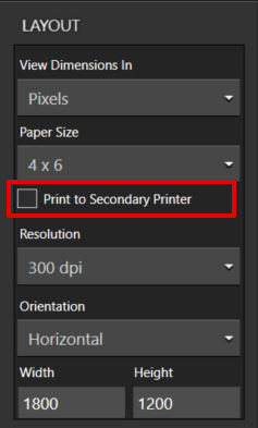 2nd printer option